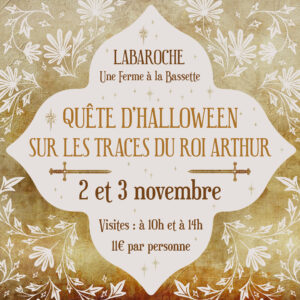 Quete-dHalloween-sur-les-traces-du-Roi-Arthur-2024-Une-Ferme-a-la-Bassette