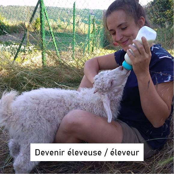devenir éleveuse éleveur de chèvres angora - aneca - une ferme à la bassette